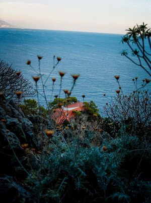 Image post by @francescoflorence on Instagram
