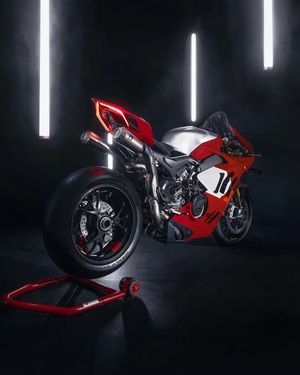 Image post by @panigalers on Instagram