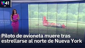 Video post by @univisionnuevayork on YouTube