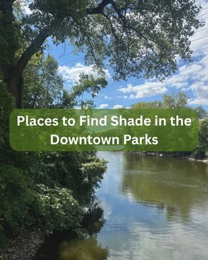 Image post by @mplsdtparks on Instagram