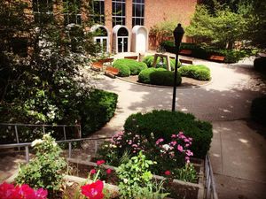 Image post by @marshallu on Instagram