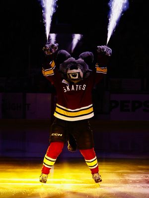 Image post by @chicagowolves on Instagram