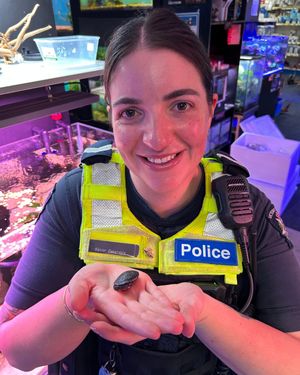 Image post by @victoriapolice on Instagram