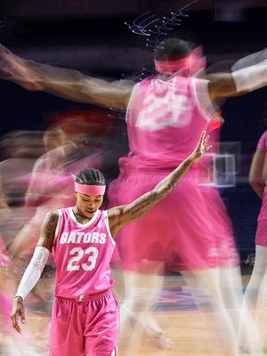 Image post by @gatorswbk on Instagram