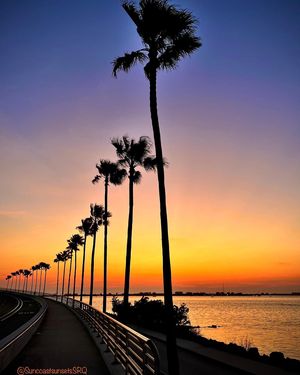 Image post by @visitsarasotacounty on Instagram