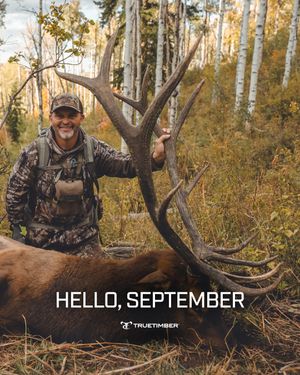 Image post by @truetimbercamo on Instagram