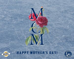 Image post by @LangleyRivermen on Twitter