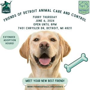 Image post by @DetroitGSD on Facebook