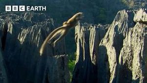 Video post by @bbcearth on YouTube