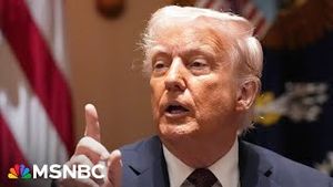 Video post by @msnbc on YouTube