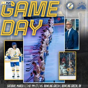 Image post by @lakestatehockey on Instagram