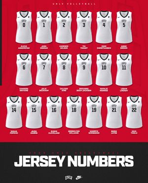 Image post by @unlvvball on Instagram