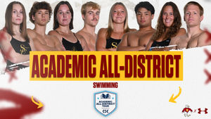 Image post by @suseagulls on Instagram
