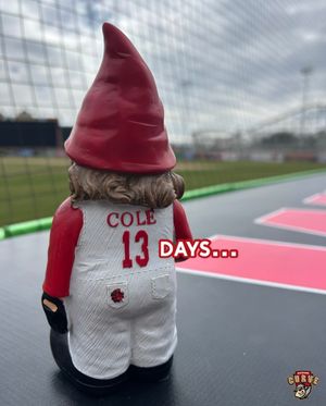 Image post by @altoonacurve on Instagram
