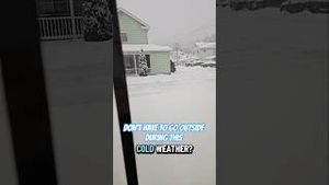 Video post by @liztries on YouTube