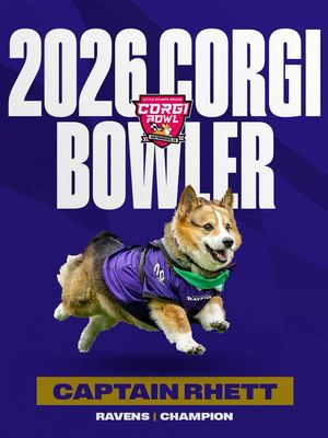 Image post by @dimes__studio on Instagram