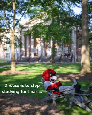 Image post by @iupedu on Instagram