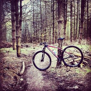Image post by @vitusbikes on Instagram