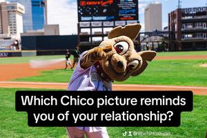Image post by @chico_epchihuahuas on Instagram
