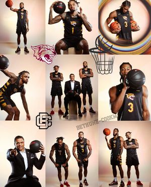 Image post by @theswac on Instagram