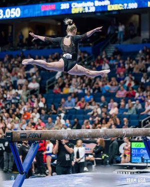 Image post by @BeaverGym on Twitter
