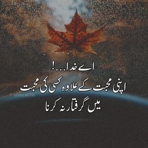 Image post by @sunny_arain on Instagram
