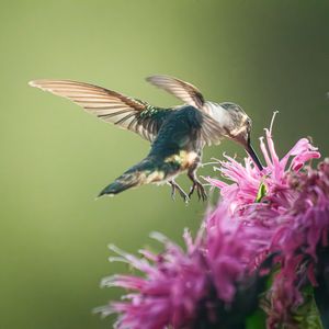 Image post by @fujifilmx_us on Instagram