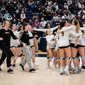 Image post by @towsontigersvb on Instagram