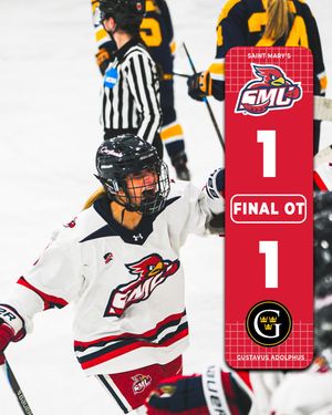 Image post by @smumn_whockey on Instagram