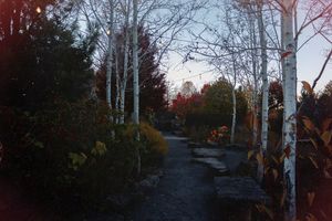 Image post by @psuoutreach on Instagram