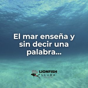 Image post by @lionfishscuba on Instagram