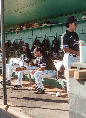 Image post by @sfa_baseball on Instagram