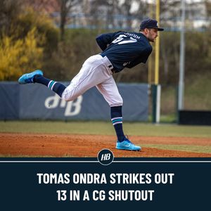 Image post by @BaseballCzech on Twitter
