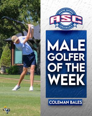 Image post by @goetbutigers on Instagram