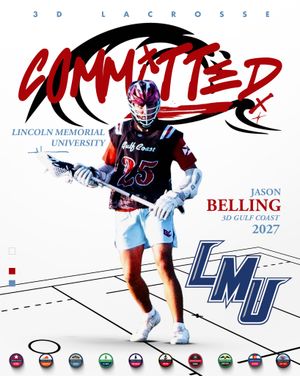 Image post by @3dlacrosse on Instagram