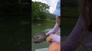 Video post by @barstooloutdoors on YouTube