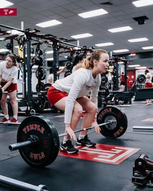 Image post by @templefencing on Instagram