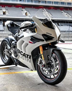 Image post by @panigalers on Instagram