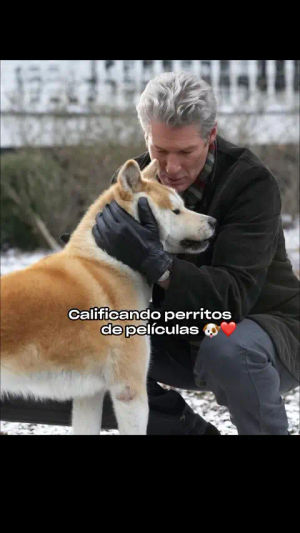 Image post by @primevideolat on TikTok