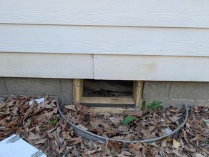 Image post by @bugbustersusa on Instagram