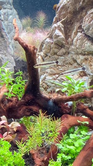 Video post by @aqualupi on Instagram