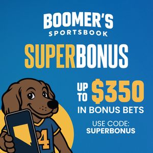 Image post by @betwithboomer on Instagram