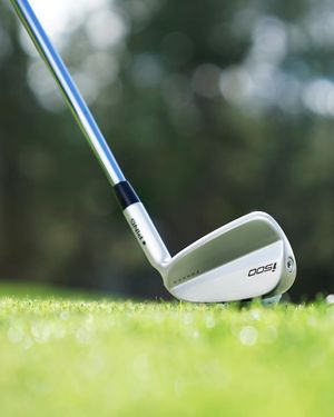Image post by @pingtour on Instagram