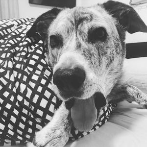 Image post by @montyorejitas on Instagram