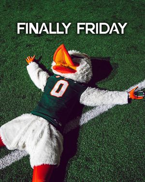 Image post by @um_sebastian on Instagram