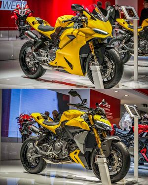 Image post by @panigalers on Instagram