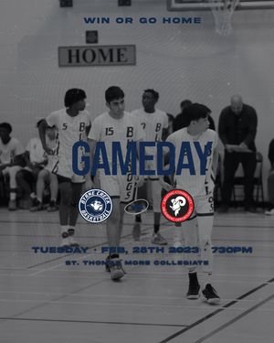 Image post by @byrnebball on Instagram