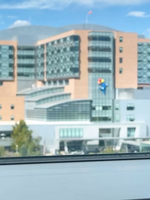 Image post by @childrenscolo on Instagram