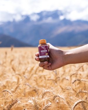 Image post by @drinksolti on Instagram