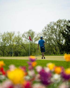 Image post by @wsgagolf on Instagram